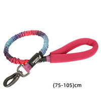 HKM-3104445 Nylon Dog Traction Collar with Letter Pattern for All Seasons, Multiple Sizes Available