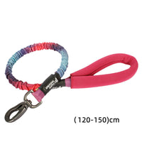 HKM-3104445 Nylon Dog Traction Collar with Letter Pattern for All Seasons, Multiple Sizes Available