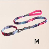 HKM-3104445 Nylon Dog Traction Collar with Letter Pattern for All Seasons, Multiple Sizes Available