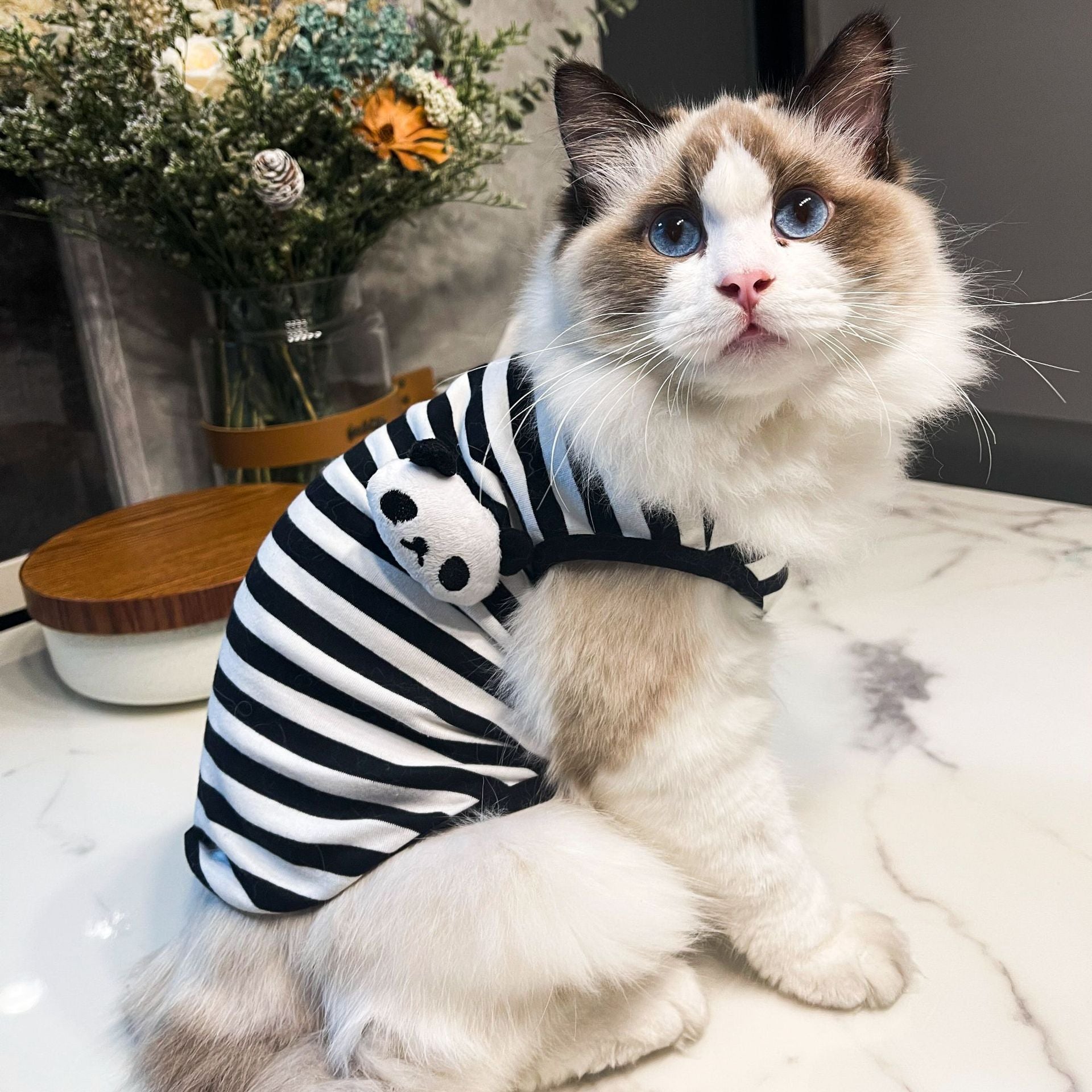 HKM-3108029 Striped Vest for Small Dogs - Black and White Panda or Light Green Frog Design