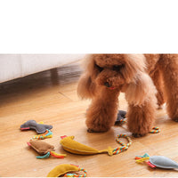 HKM-3113021 Durable Bite-Resistant Dog Chew Toys - Cowhide & Cotton, Various Shapes