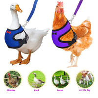 HKM-3115453 Poultry Vest Harness with Matching Collar for Ducks and Chickens - Multiple Sizes Available