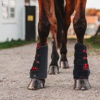 HKM-3115581 Red Light Infrared Phototherapy Device for Horse Leg Recovery and Wound Healing