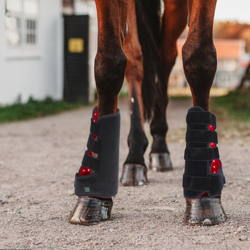 HKM-3115581 Red Light Infrared Phototherapy Device for Horse Leg Recovery and Wound Healing