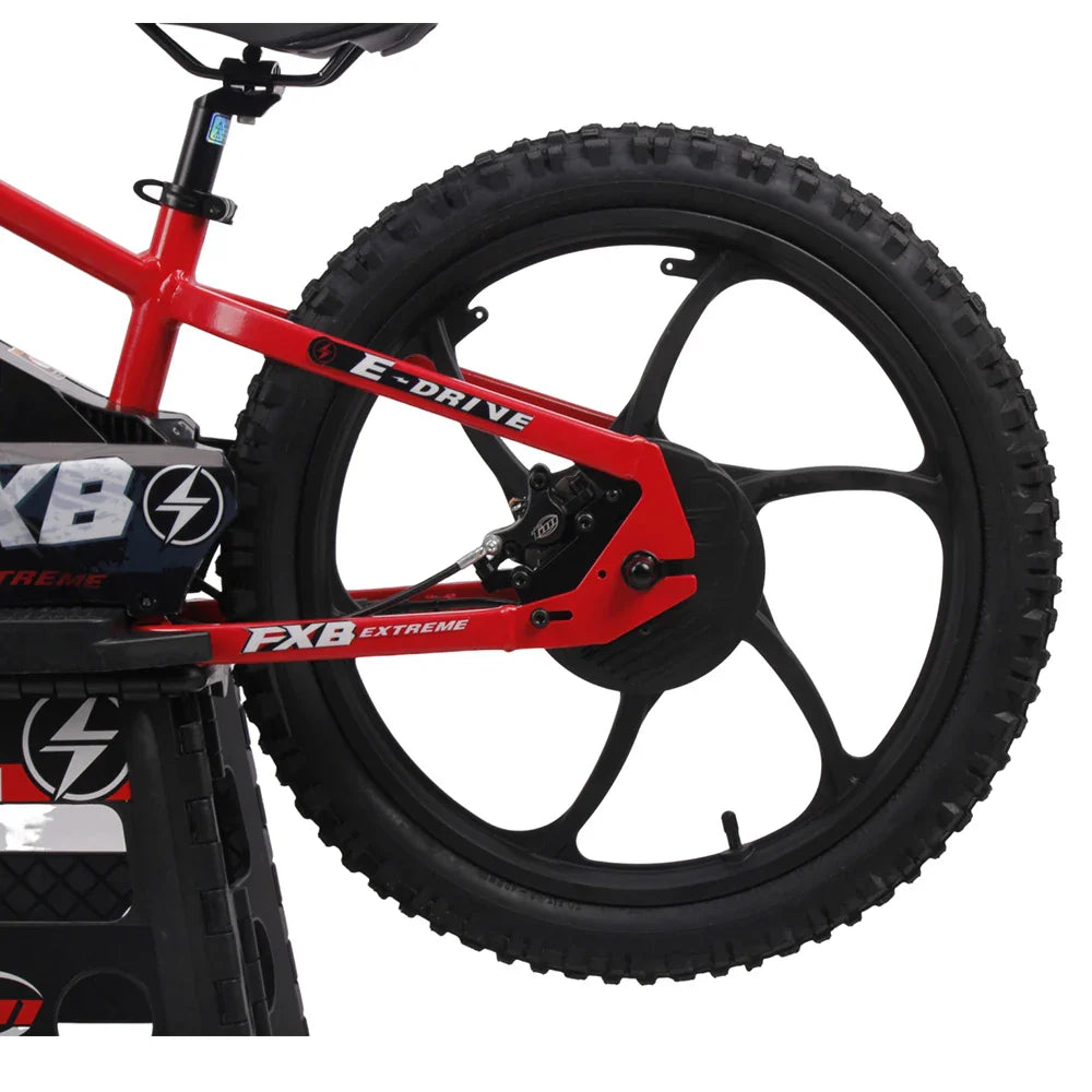HKM-312083 20 Inch Electric Balance Bike with 600W Brushless Hub Motor and 36V 5Ah Lithium Battery for Kids