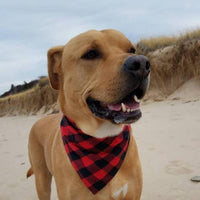 HKM-3121341 Classic Plaid Dog Scarf and Saliva Towel in Red/Black or Black/White - S & M Sizes Available