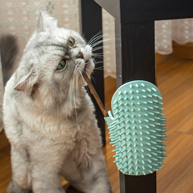 HKM-3125309 Cat Massage Comb - Rubber Cactus Rubbing Brush for Itching Relief and Play