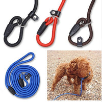 HKM-3129277 Durable Nylon Dog Traction Strap with Integrated P-Chain - Available in Various Colors and Sizes