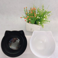 HKM-3129661 Transparent Double Cat Food Bowl with 15¡ã Neck Protection and Anti-Skid Base