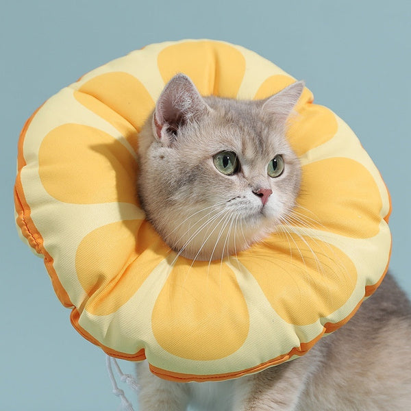 HKM-3131453 Colorful Anti-Licking Kitten Collar with Adjustable Sizes and Waterproof Patterns