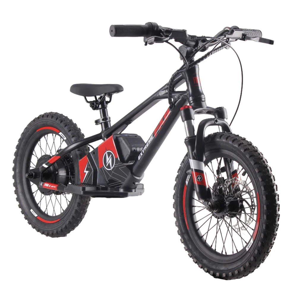 HKM-313235 16 Inch Electric Balance Bike for Children - 350W, 36V, 2 Speed, Aluminum Alloy Frame