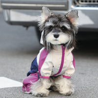 HKM-3139773 Waterproof Anti-Fouling Pet Jacket in Yellow, Rose Red, and Mint Green