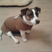 HKM-3141565 Thickened Polar Fleece Double-Sided Vest for Dogs - Autumn and Winter Pet Clothing
