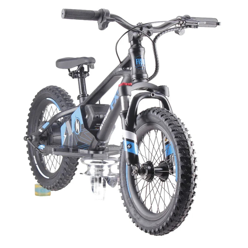 HKM-314387 16-Inch Fat Tire Electric Balance Bike with 36V 350W Brushless Motor and Disc Brake