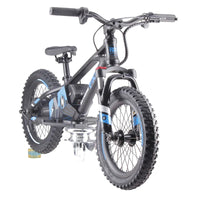HKM-314387 16-Inch Fat Tire Electric Balance Bike with 36V 350W Brushless Motor and Disc Brake