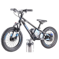 HKM-314387 16-Inch Fat Tire Electric Balance Bike with 36V 350W Brushless Motor and Disc Brake