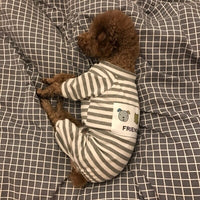 HKM-3147581 Soft and Comfortable Dog Pajamas for Small Dogs - Casual Clothing in Pink and Gray