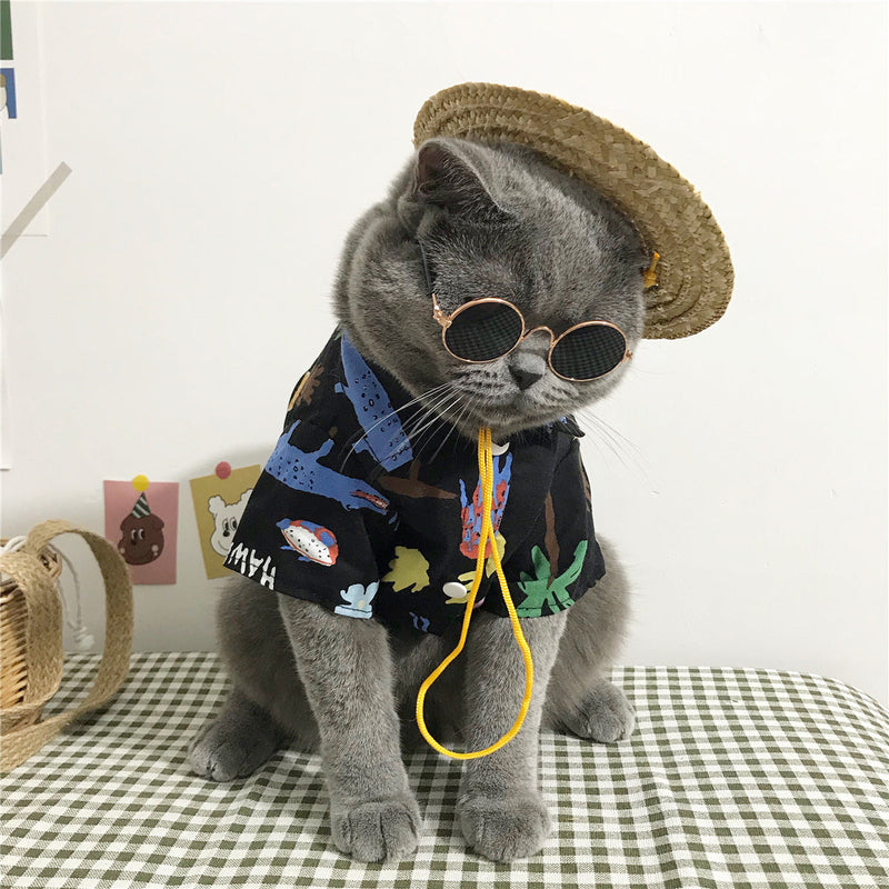 HKM-314771 Cool Summer Cat Shirt Set with Matching Straw Hat, Necklace, and Glasses