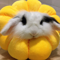 HKM-3148349 Adjustable Recovery Collar for Pets - Soft Edge Wound Healing Cone, Sunflower Design, Multiple Sizes Available