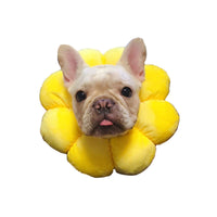 HKM-3148349 Adjustable Recovery Collar for Pets - Soft Edge Wound Healing Cone, Sunflower Design, Multiple Sizes Available
