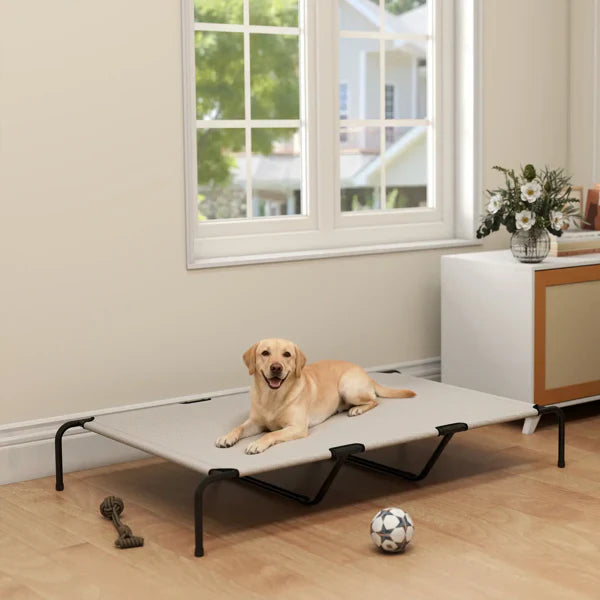 HKM-3148733 Elevated Cooling Pet Cot for Comfortable Outdoor Relaxation