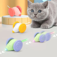 HKM-315731 Mouse Toy USB Rechargeable Luminous Electric