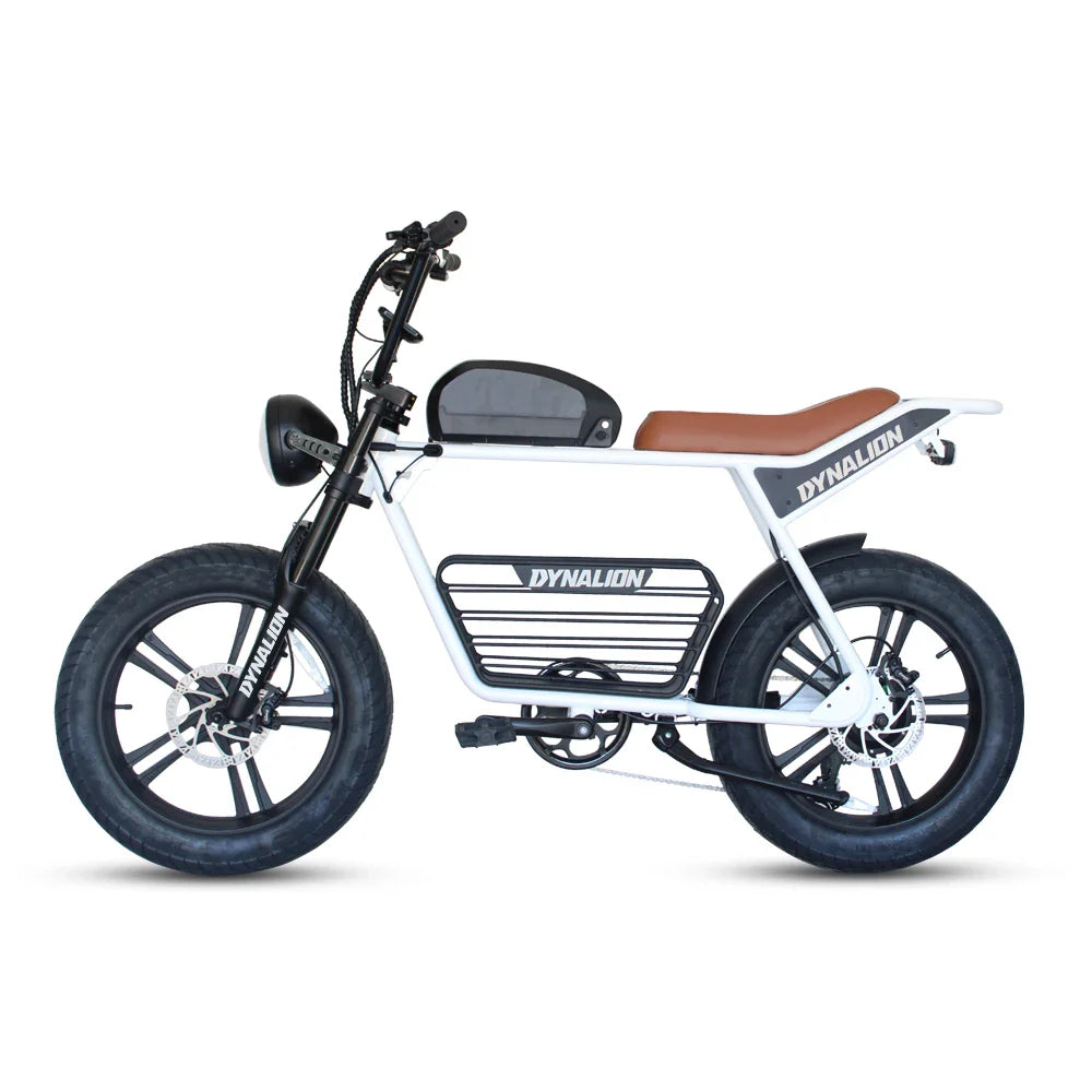 HKM-316051 1000W Electric Fat Tire Mountain Bike with 48V 16Ah Long Range Battery and 7-Speed Gear System