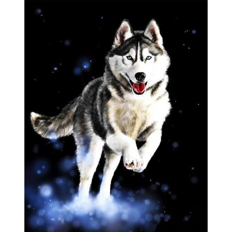 HKM-316051 Huskie Themed Canvas Art for Home or Office Decor