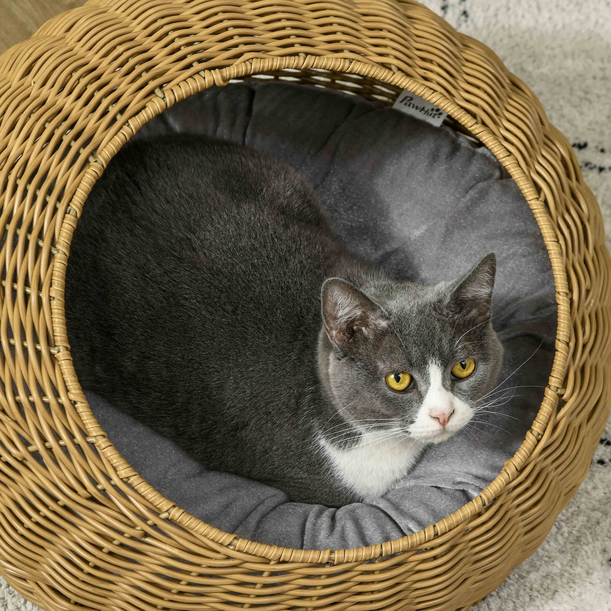 HKM-3160893 Stylish Rattan Cat Bed with Washable Cushion for Cats Under 9 lbs