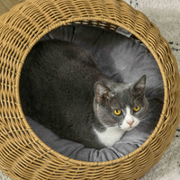HKM-3160893 Stylish Rattan Cat Bed with Washable Cushion for Cats Under 9 lbs