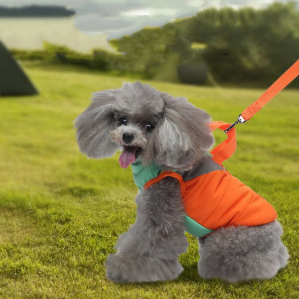 HKM-3161917 Warm Cotton Padded Dog Coat with Hauling Rope for Winter Weather