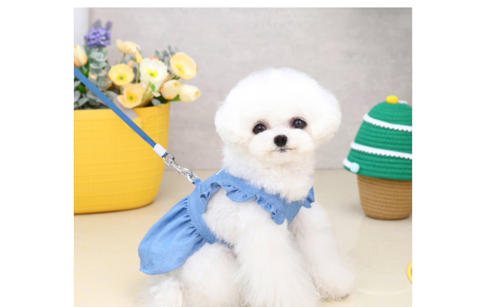 HKM-3166781 Embroidered Letter Denim Skirt for Dogs - Spring & Summer Fashion in Dark Blue and Light Blue