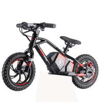 HKM-316691 250W 36V 12 Inch Electric Balance Bike for Kids Ages 3-6 - No Pedals, Disc Brake, Lightweight Alloy Frame