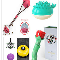 HKM-3168829 Summer Floating Dog Toy with Water Spray Function for Bathing and Playtime