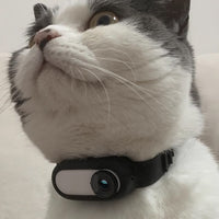 HKM-3175741 Wireless Cat and Dog Collar Camera for Indoor and Outdoor Use, USB Rechargeable