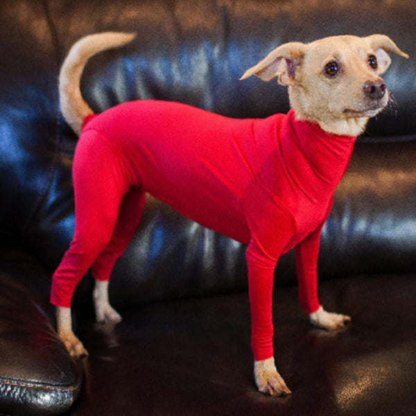 HKM-3180349 Cozy Acrylic Fiber Dog Jumpsuit for Medium and Large Dogs in Various Colors