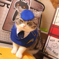 HKM-3181117 Personalized Blue Polyester Pet Clothing with Hat for Cats - Sizes S, M, L