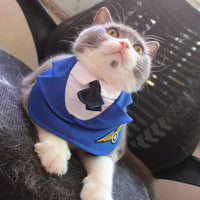 HKM-3181117 Personalized Blue Polyester Pet Clothing with Hat for Cats - Sizes S, M, L