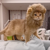 HKM-318419 Funny Pet Headdress – Lion and Rabbit Designs in Monochrome – Polyester Material – Available in Various Sizes