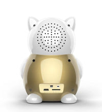 HKM-318803 Battery-Powered Wireless Remote Monitoring Camera with HD Image Sensor and Night Vision
