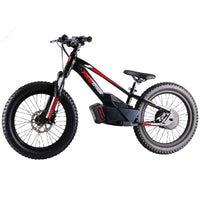 HKM-318995 20 Inch Electric Balance Bike for Kids with 3-Speed Gears, Aluminum Frame, and Hydraulic Disc Brakes