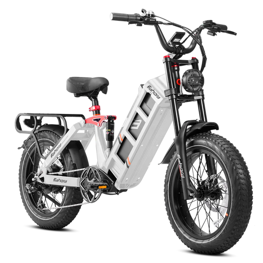HKM-319123 Electric Fat Tire Bike 250W 52V 60Ah 20" Wheel Urban Commuter Long Range 120 Miles