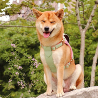 HKM-3196477 Saddle Brown Pet Vest Style Chest Strap for Medium to Large Pets
