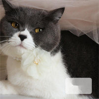 HKM-3196989 Stylish Pet Collar Necklace for Cats and Dogs in White Pink, Multiple Sizes Available