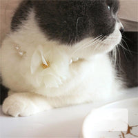 HKM-3196989 Stylish Pet Collar Necklace for Cats and Dogs in White Pink, Multiple Sizes Available