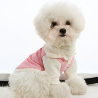 HKM-3199549 Cute Thin Breathable Princess Style Dog Clothes in Blue, Gray, Pink, Orange - Sizes XS to XXL