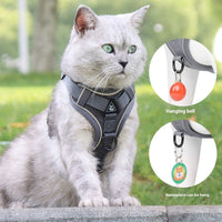 HKM-3200061 Classic and Lightweight Cat Harness with Pulling Rope - Available in Various Colors and Sizes