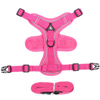 HKM-3200061 Classic and Lightweight Cat Harness with Pulling Rope - Available in Various Colors and Sizes
