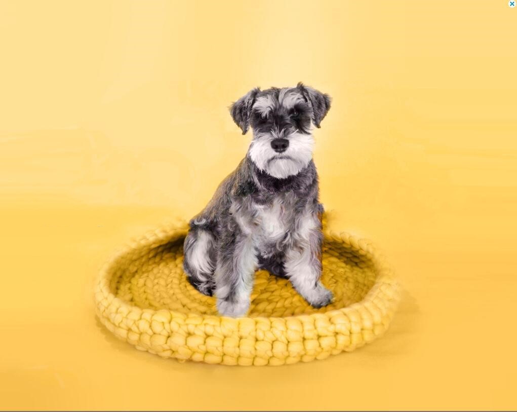 HKM-3200829 Coarse Wool Pet Nest for Dogs - 45cm Super Thick Wool Dog House