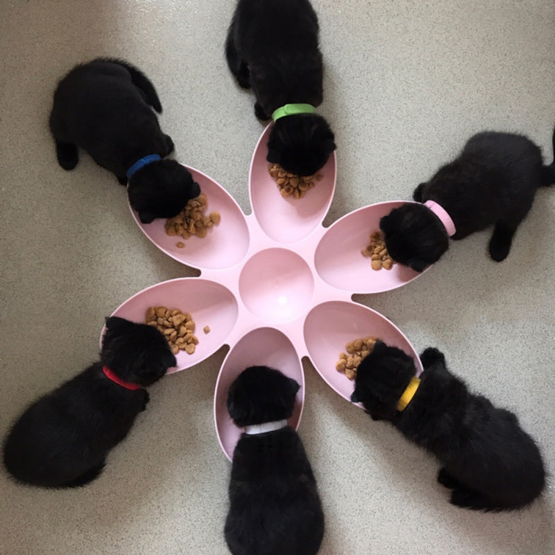 HKM-3204541 Petal-Shaped Multifunctional Pet Bowl - 42CM Diameter, Eco-Friendly PP Resin for Dogs and Cats